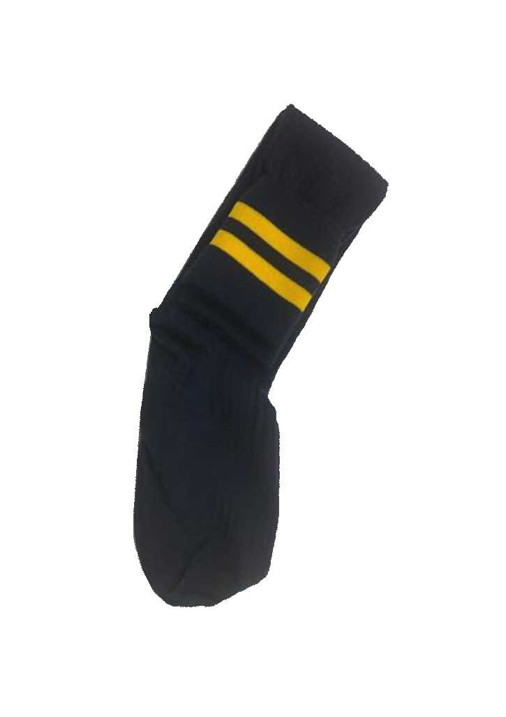 Catlins Area School Sock